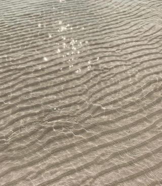 #texturesinthejungle🙊
Be different!
Inspiration wellness
.
..
#hdlstudio #byhorasdeluz #designerslife
#happyhomestyle #creatingbeautifulspaces #junglechicstyle #arquitecturaemocional
#interiorexperiences #happydesign #makingspaces #emotionaldesign #neurodesign