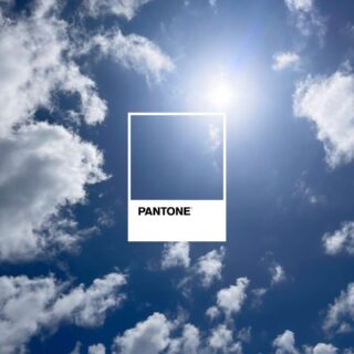 #colorsinthejungle
Los azules y la naturaleza
.¿Empezamos a Diseñar?
Www.hdl-studio.com/cuéntame
Atrévete con la experiencia One.
.
.#hdlstudio #byhorasdeluz
#happyhomestyle #creatingbeautifulspaces #junglechicstyle #arquitecturaemocional
#createyourspace  #luxuryinteriordesign
#luxuryhomedesign
#interiors #design #experiences
#colors #pantone #blue #skyblue