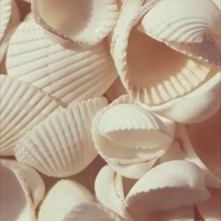 #texturesinthejungle🙊
Texturas con formas, texturas de inspiración, texturas de color
.
.
.
XoXo Belén Horasdeluz
Www.hdl-studio.com
#designinginthejungle🐒.
.
#hdlstudio #byhorasdeluz #designerslife
#happyhomestyle #creatingbeautifulspaces #junglechicstyle #arquitecturaemocional
#interiorexperiences #happydesign #makingspaces #emotionaldesign #neurodesign