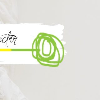 Arquitectura Emocional,
Interiorismo para divertirse, emocionarte y conectar.
.
.
Www.Hdl-studio.com
#designinginthejungle🐒
Belén HorasDeLuz