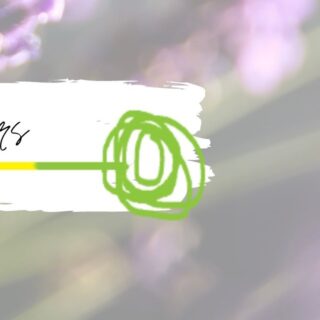 Arquitectura Emocional,
Interiorismo personalizado, interiorismo con 5 sentidos, interiorismo de emociones.
.
.
Www.Hdl-studio.com
#designinginthejungle🐒
Belén HorasDeLuz